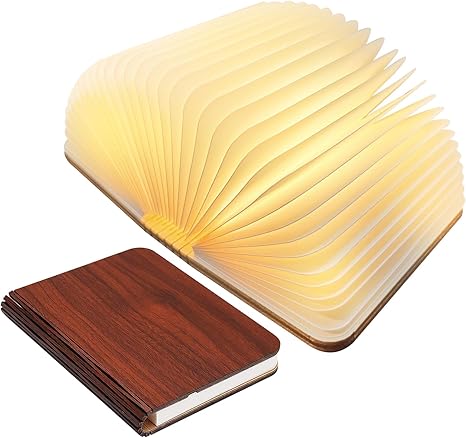 Vivolux | Frendorf Bücherlampe