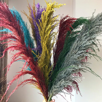 Vivolux | Pampas Getrocknete Blumen