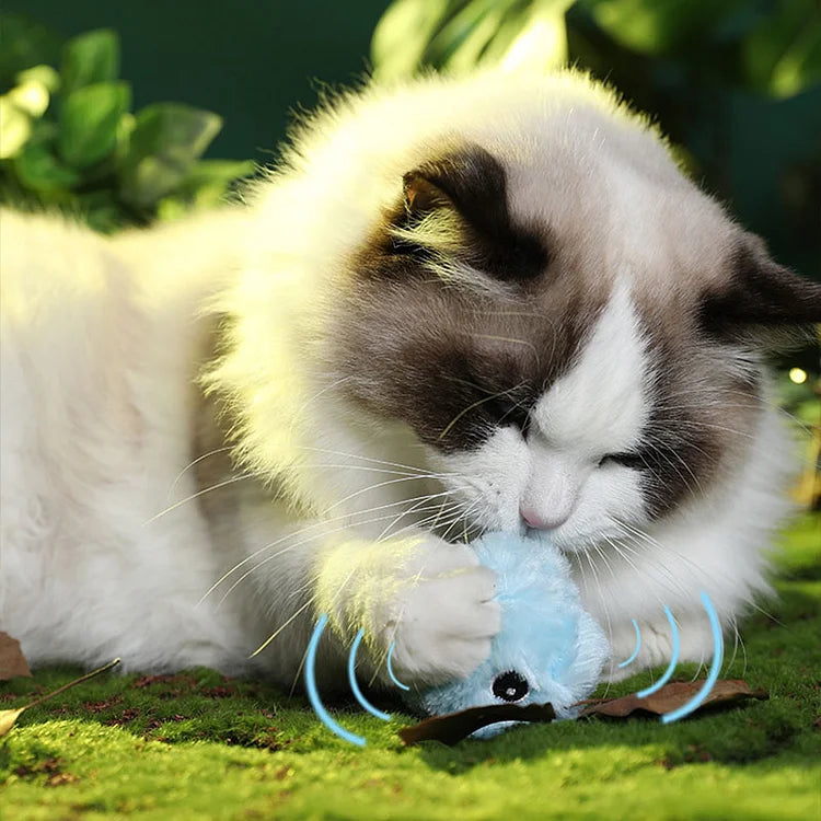 Vivolux | – intelligenter interaktiver Plüschball für Katzen | 1 kaufen, 1 gratis bekommen 🎁