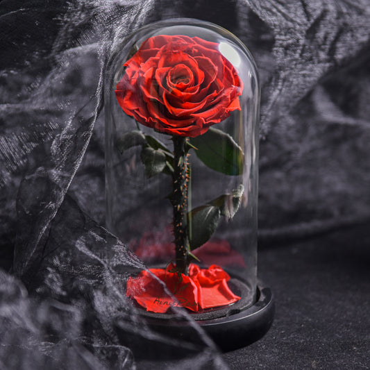 Vivolux | Forever Rose in Glaskuppel-Dekoration – Rot
