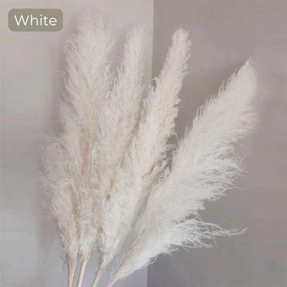 80 cm natürlicher, echter getrockneter Pampasgrasstrauß (weiß / beige / grau) │ flauschige Feder für moderne Boho-Heimdekoration