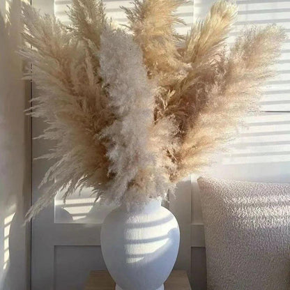 80 cm natürlicher, echter getrockneter Pampasgrasstrauß (weiß / beige / grau) │ flauschige Feder für moderne Boho-Heimdekoration