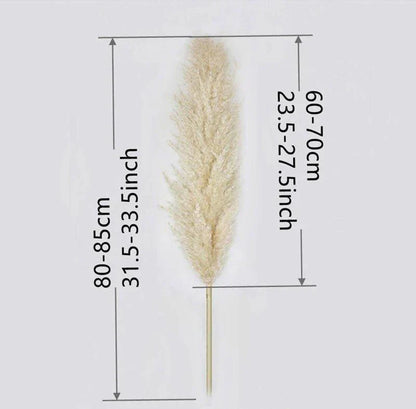 80 cm natürlicher, echter getrockneter Pampasgrasstrauß (weiß / beige / grau) │ flauschige Feder für moderne Boho-Heimdekoration