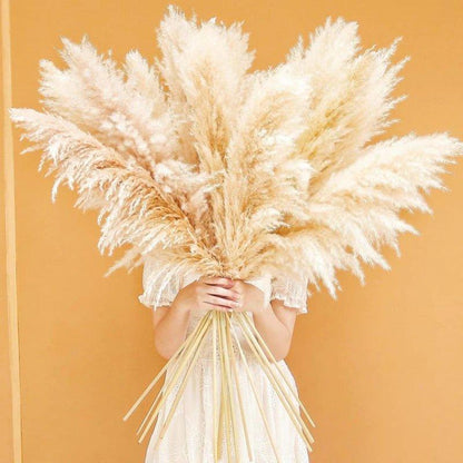 80 cm natürlicher, echter getrockneter Pampasgrasstrauß (weiß / beige / grau) │ flauschige Feder für moderne Boho-Heimdekoration