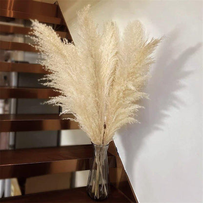 80 cm natürlicher, echter getrockneter Pampasgrasstrauß (weiß / beige / grau) │ flauschige Feder für moderne Boho-Heimdekoration