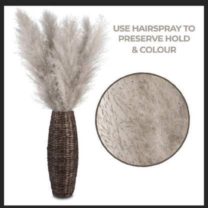 80 cm natürlicher, echter getrockneter Pampasgrasstrauß (weiß / beige / grau) │ flauschige Feder für moderne Boho-Heimdekoration