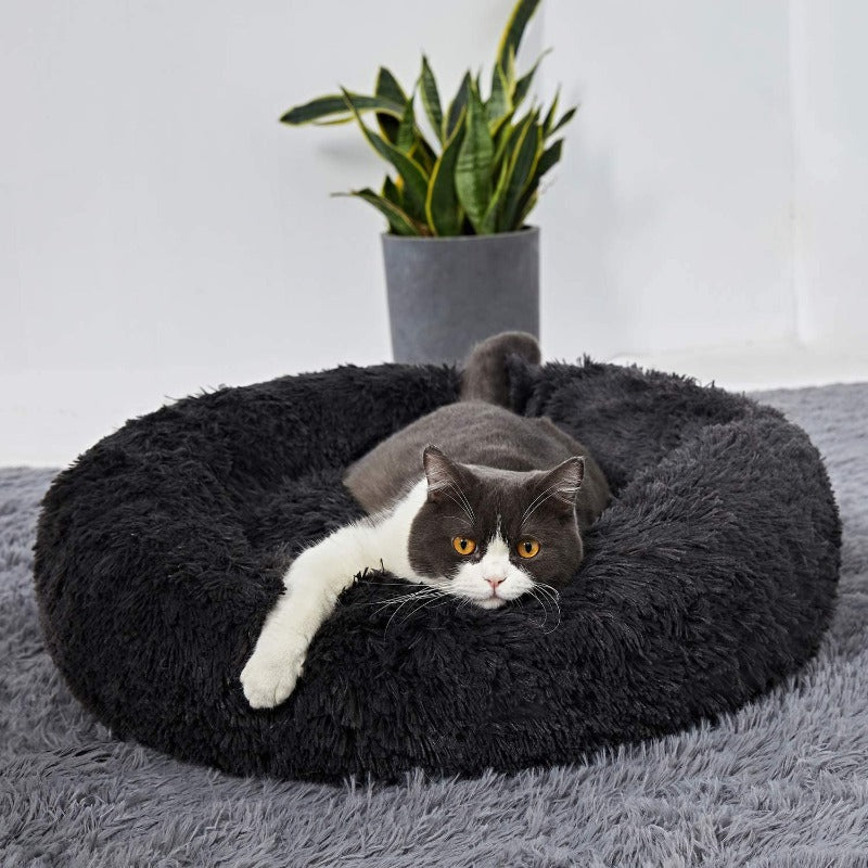 Vivolux | PawNest Beruhigendes Donut-Katzenbett | Rundes Plüsch Nest | Stresslindernd & Gemütlich | Perfekt für Katzen & kleine Hunde