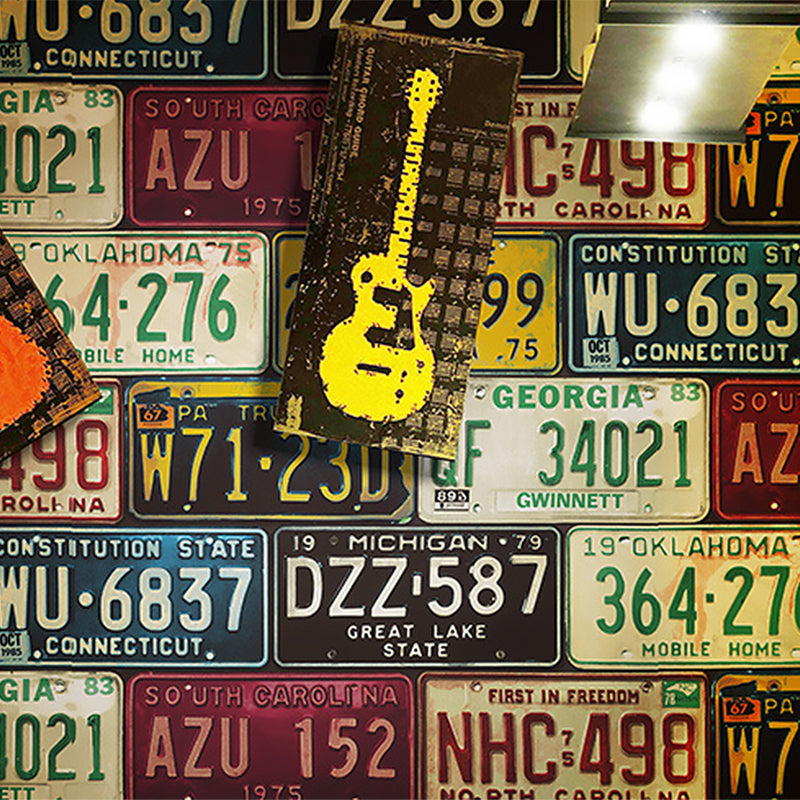 Vivolux | Industrielles Tapete mit europäischen Autokennzeichen und Nummern, 21"W x 33'L, Nicht vorgeklebt