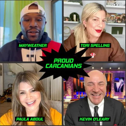 Vivolux | Auto Aufbewahrungstasche