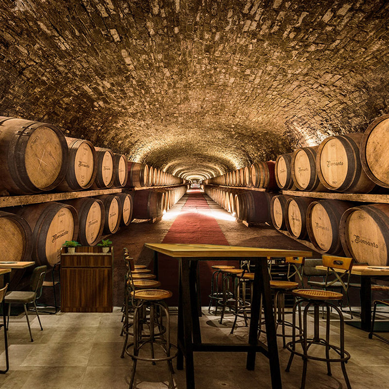 Vivolux | Extra großes Foto 3D Keller Wandbild Tapete für KTV in Rostbraun, maßgeschneidert