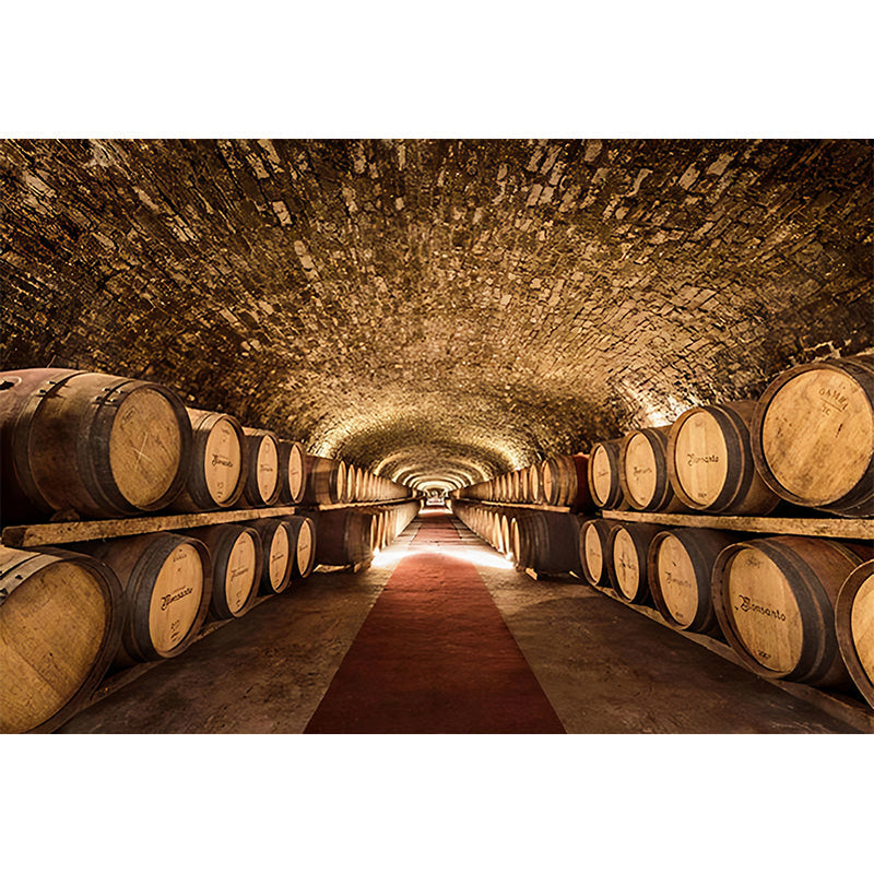 Vivolux | Extra großes Foto 3D Keller Wandbild Tapete für KTV in Rostbraun, maßgeschneidert