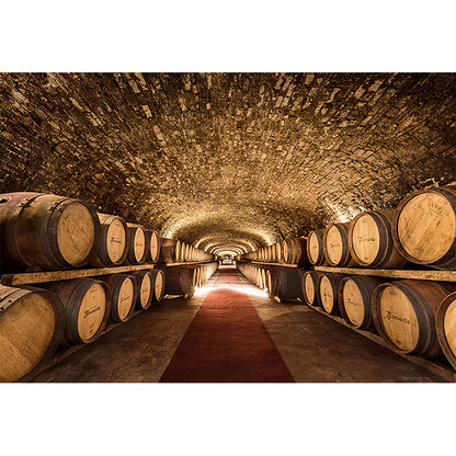 Vivolux | Extra großes Foto 3D Keller Wandbild Tapete für KTV in Rostbraun, maßgeschneidert