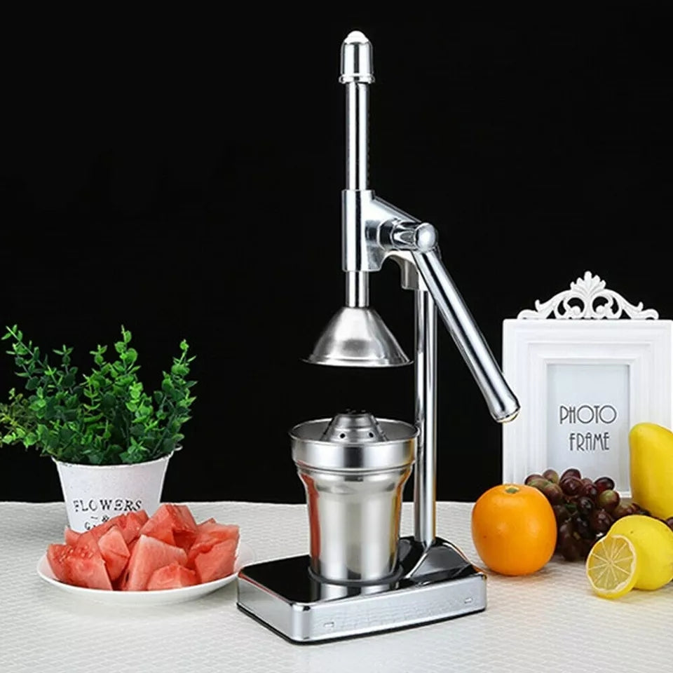 Vivolux | Stainless Steel Fruit Juicer