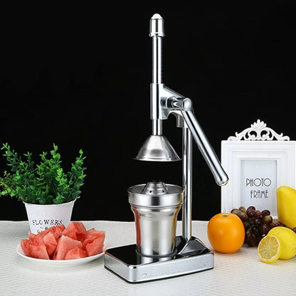 Vivolux | Stainless Steel Fruit Juicer