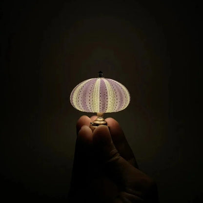 Vivolux | Seeigel Nachtlampe - Lampe - Stimmungsvolle Beleuchtung