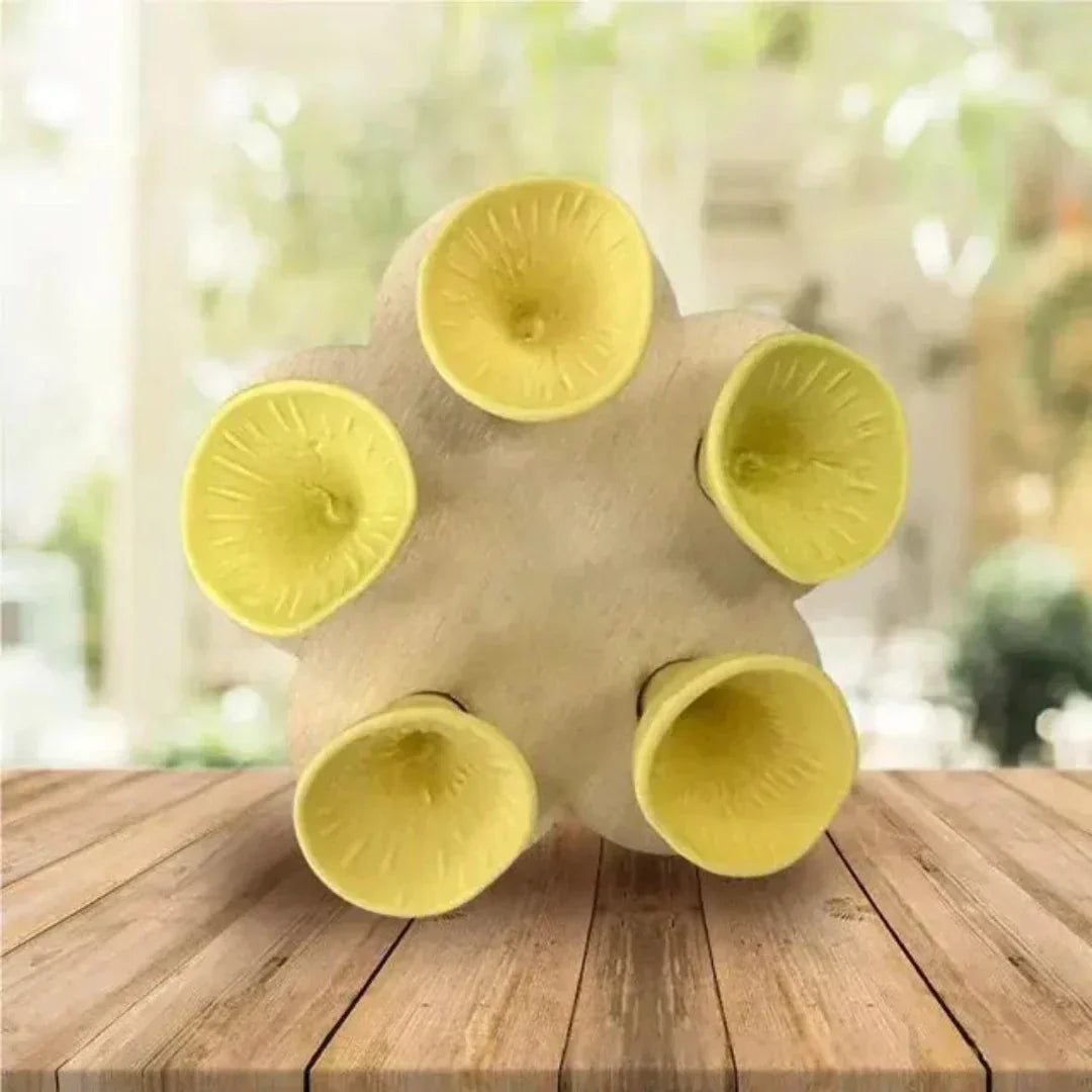 Vivolux | Bijenzorg - PolliCup - Bestäuberfreundlich - Unterstützen Sie die Biodiversität