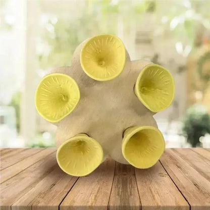 Vivolux | Bijenzorg - PolliCup - Bestäuberfreundlich - Unterstützen Sie die Biodiversität