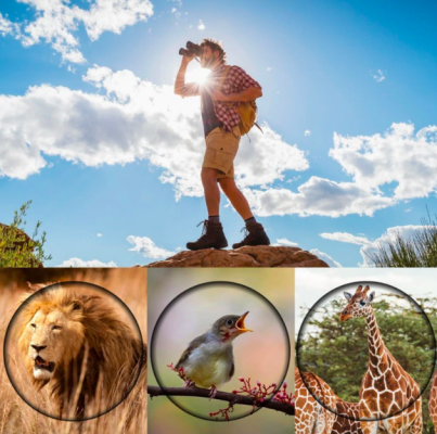 Vivolux | Fernglas Hochleistung Nachtsicht Wasserdicht