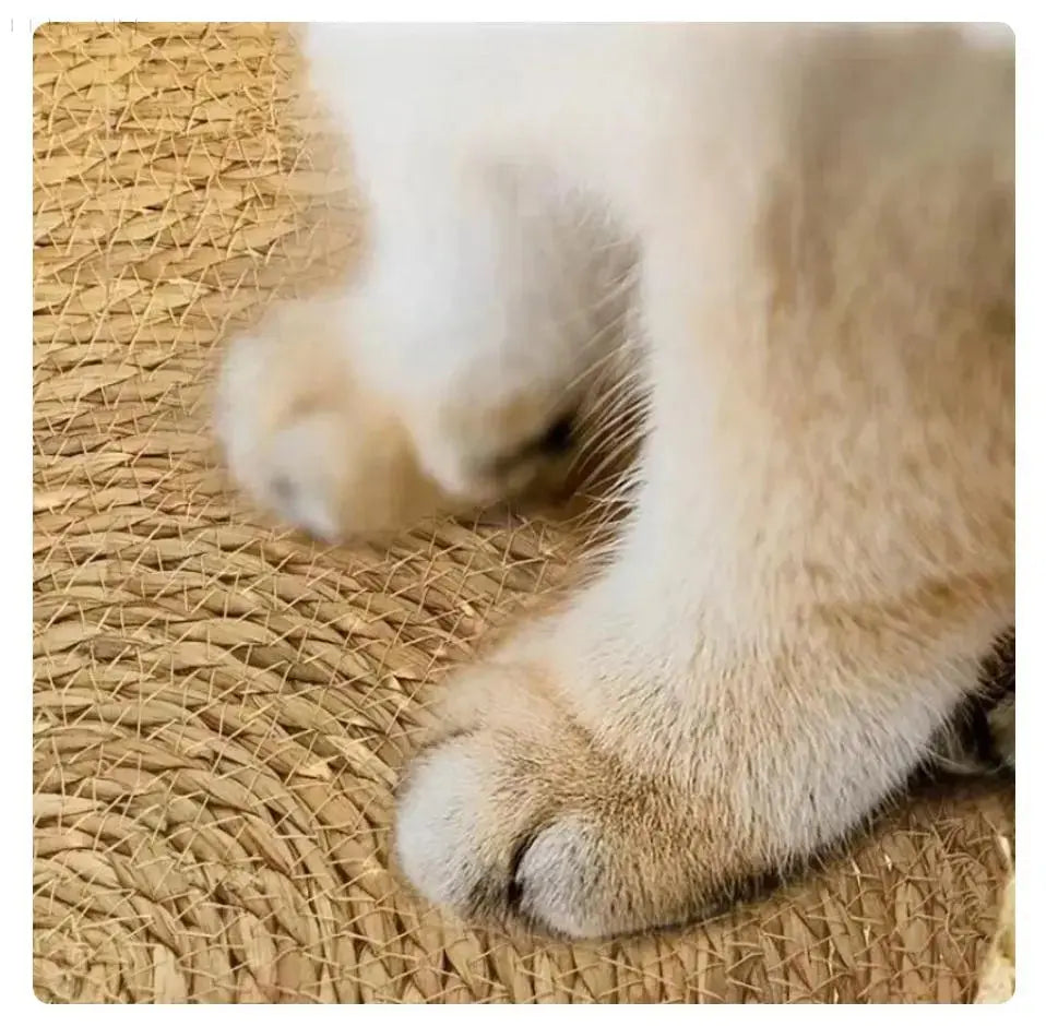 Vivolux | Cozypets – Superweiches und gemütliches Katzenbett