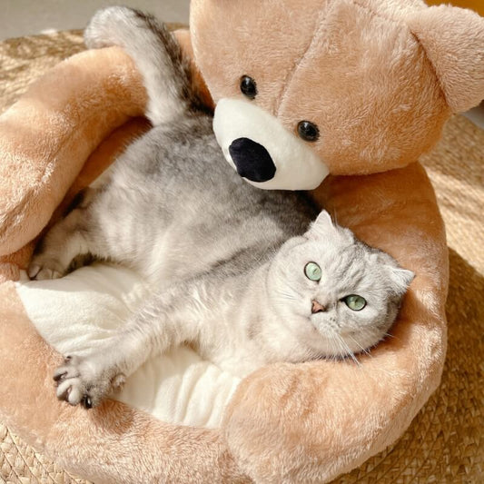 Vivolux | Süßes abnehmbares Kuschelbär-Katzenbett