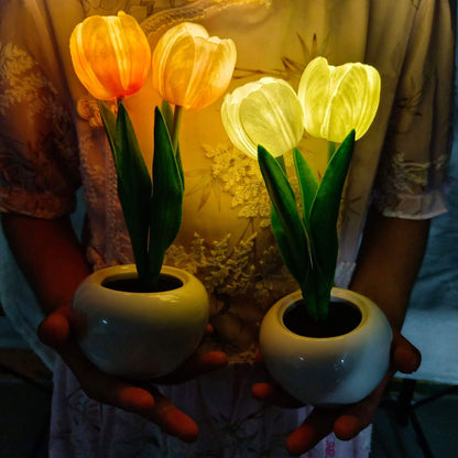 Vivolux | Moderne kreative Simulation Tulpe Pfingstrose LED Nachtlicht Tischlampe
