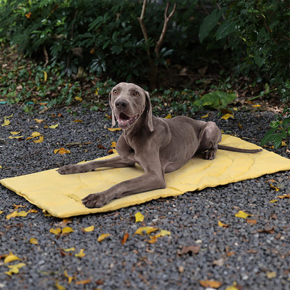 Vivolux | Faltbare wasserdichte tragbare Hund-Auto-Sitzmatte Hund-Campingmatte