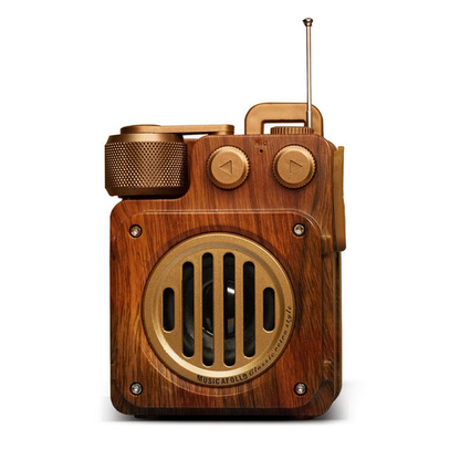 Vivolux | Bluetooth Retro Lautsprecher mit tiefem Bass – Dunkle Akademiker Ästhetik