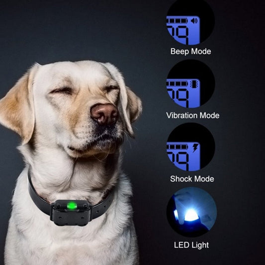 Vivolux | Lange Shot Elektrischer Hundetraining Wasserdicht Kragen