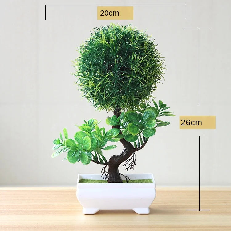 Vivolux | Kleine Baumtopf Bonsai Pflanzen