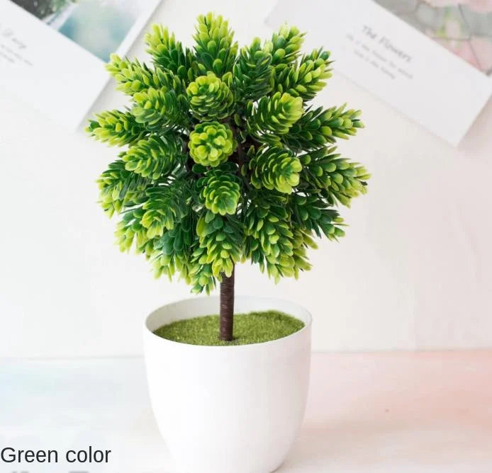 Vivolux | Kleine Baumtopf Bonsai Pflanzen