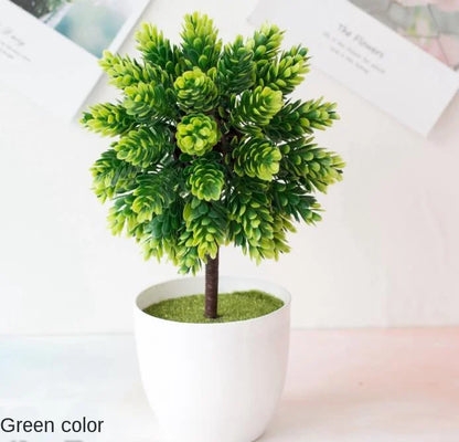 Vivolux | Kleine Baumtopf Bonsai Pflanzen