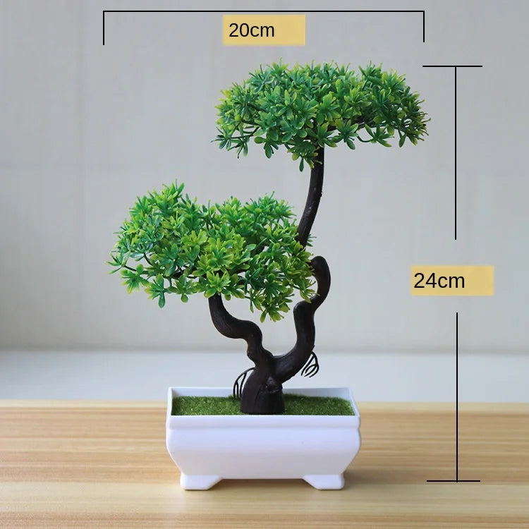 Vivolux | Kleine Baumtopf Bonsai Pflanzen