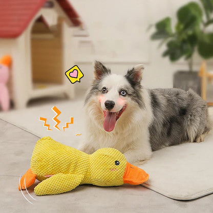 Beruhigungsente für Hunde