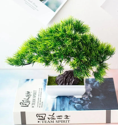 Vivolux | Kleine Baumtopf Bonsai Pflanzen