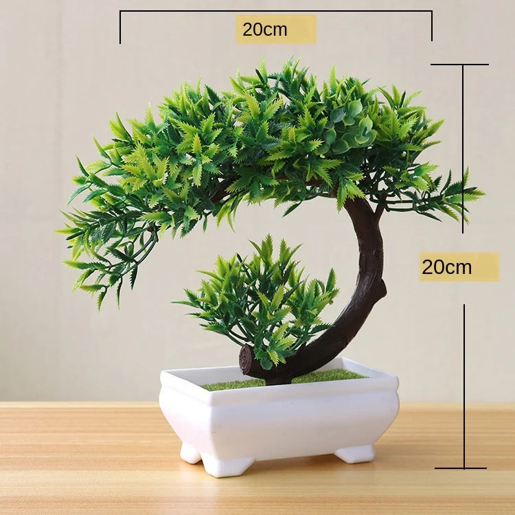 Vivolux | Kleine Baumtopf Bonsai Pflanzen