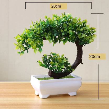 Vivolux | Kleine Baumtopf Bonsai Pflanzen