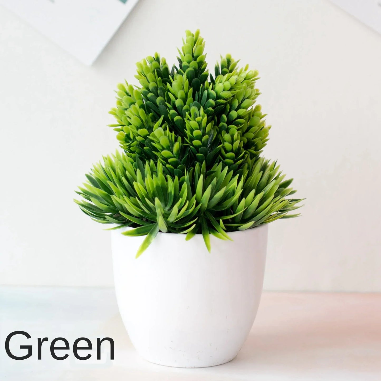 Vivolux | Kleine Baumtopf Bonsai Pflanzen