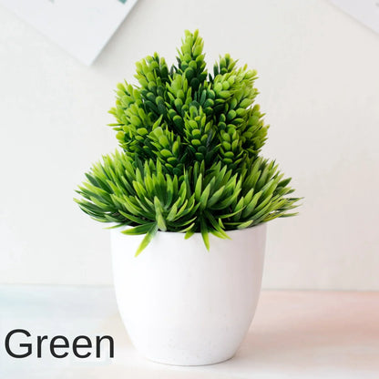 Vivolux | Kleine Baumtopf Bonsai Pflanzen