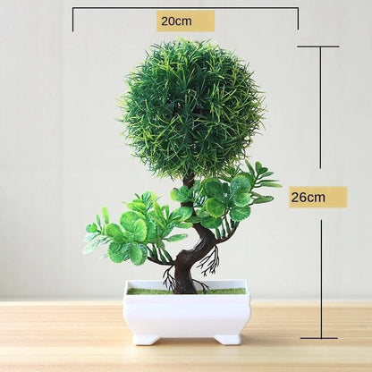 Vivolux | Kleine Baumtopf Bonsai Pflanzen