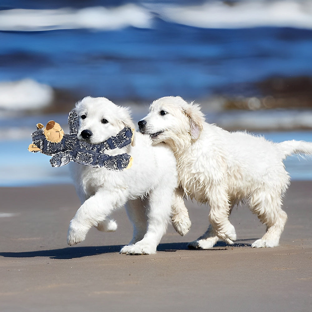 Unzerstörbarer Robuster Bär