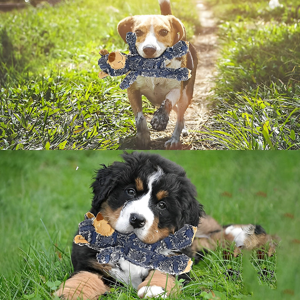 Unzerstörbarer Robuster Bär