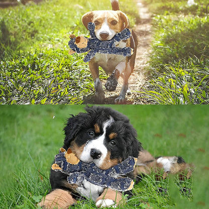 Unzerstörbarer Robuster Bär