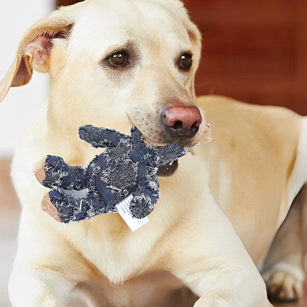 Unzerstörbarer Robuster Bär