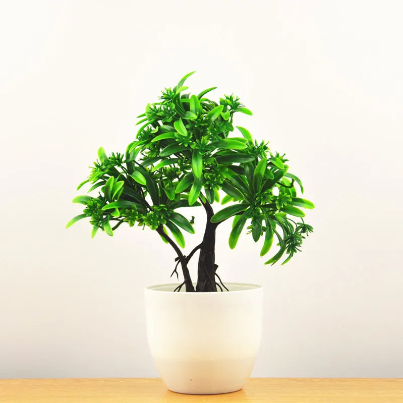 Vivolux | Kleine Baumtopf Bonsai Pflanzen