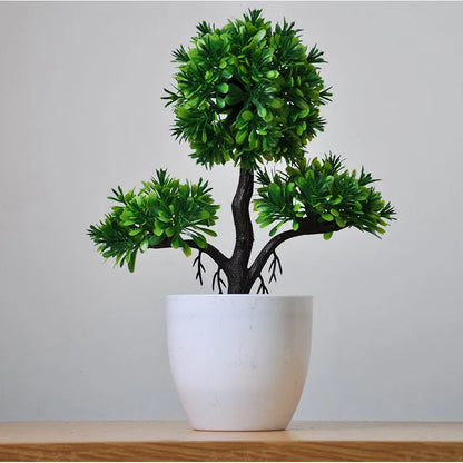 Vivolux | Kleine Baumtopf Bonsai Pflanzen