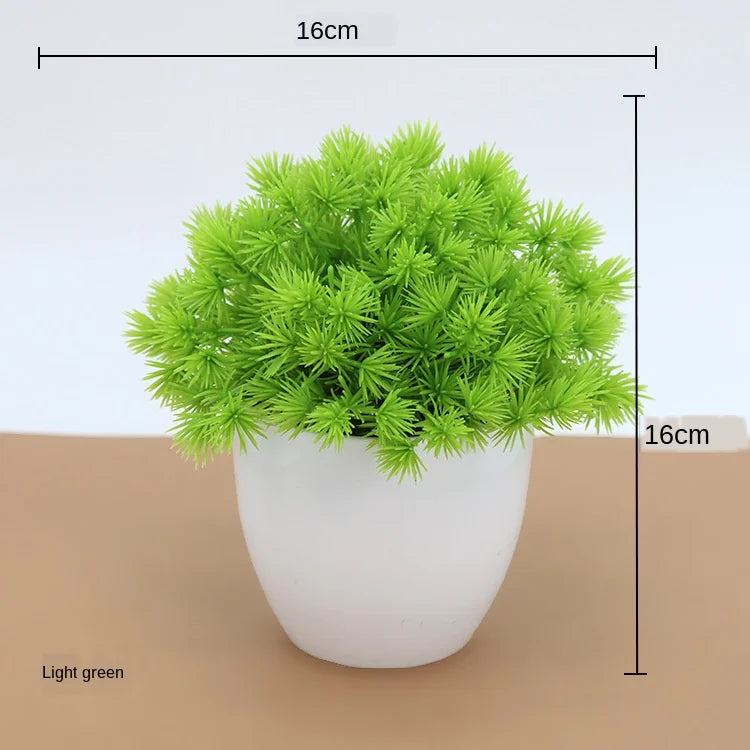 Vivolux | Kleine Baumtopf Bonsai Pflanzen