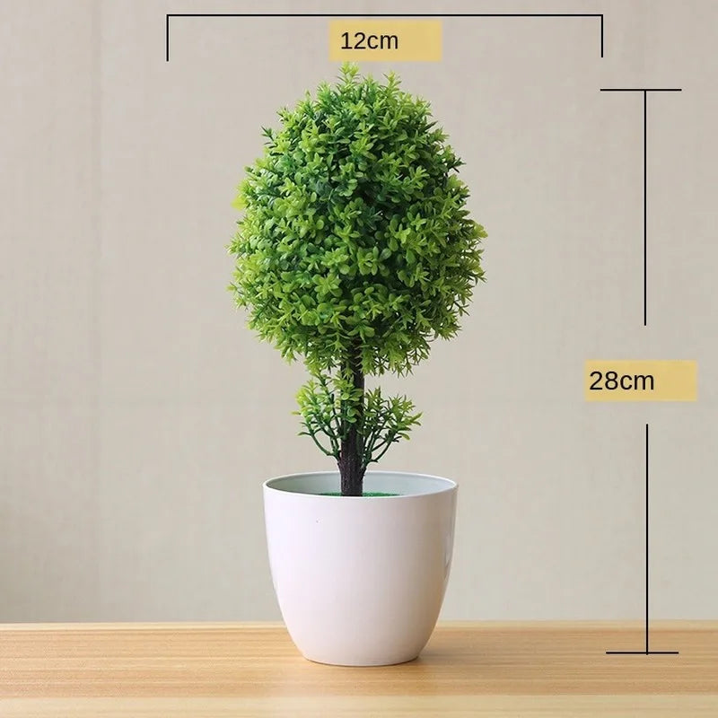 Vivolux | Kleine Baumtopf Bonsai Pflanzen