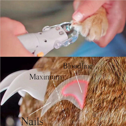 Vivolux | Nagelknipser für Hunde | Sicherer Zehennagelschneider