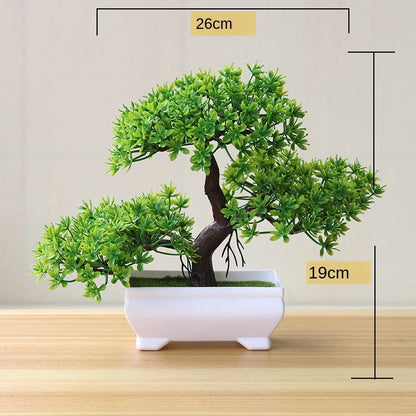 Vivolux | Kleine Baumtopf Bonsai Pflanzen