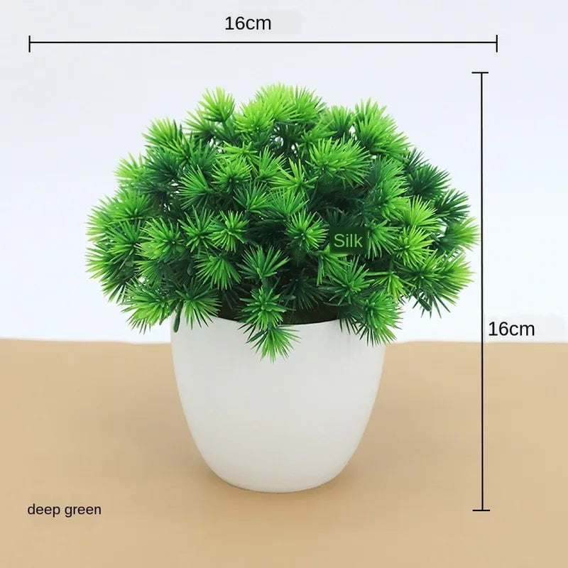 Vivolux | Kleine Baumtopf Bonsai Pflanzen